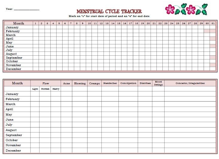 menstrual cycle printable