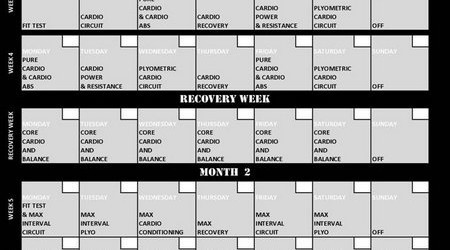 new insanity printable calendar pdf free printable